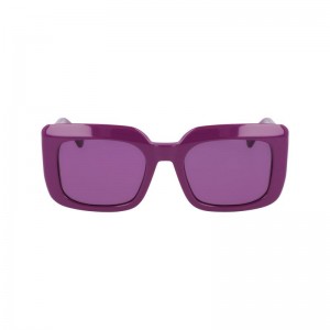 long champ Acetate Naisten Aurinkolasit Violet | FILI7923