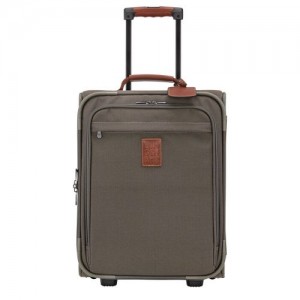 long champ Boxford S Recycled canvas Miesten Matkalaukut Ruskea | FIHA7161