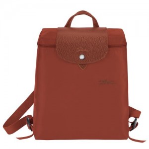 long champ Le Pliage Green M Recycled canvas Miesten Reput Chestnut | FIWN7542