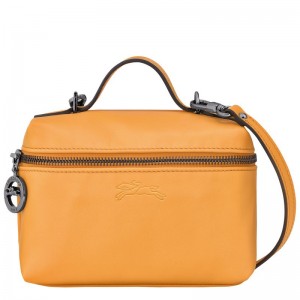 long champ Le Pliage Xtra XS Vanity Nahkaiset Naisten Crossbody Laukut Aprikoosi | FIZU9016