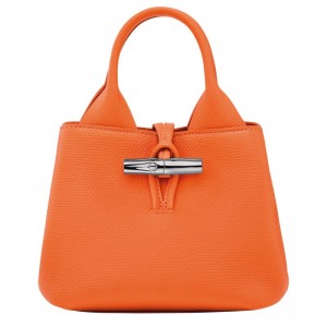 long champ Le Roseau XS Handbag Leather Naisten Mini Laukut Oranssi | FIHA9324