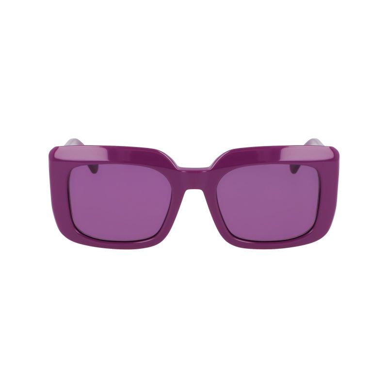 long champ Acetate Naisten Aurinkolasit Violet | FILI7923