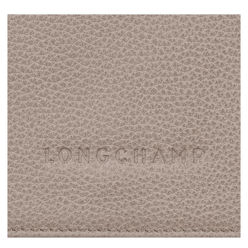 long champ Le FoulonnÉ Leather Miesten Lompakko Turtledove | FIZU7404