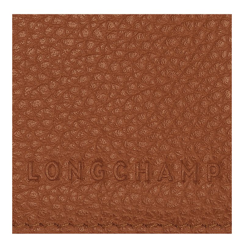 long champ Le FoulonnÉ Passport cover Leather Naisten Asusteet Caramel | FIPJ8226