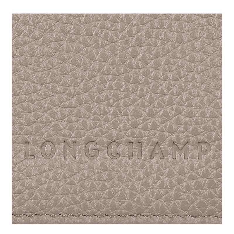 long champ Le FoulonnÉ Passport cover Leather Miesten Asusteet Turtledove | FIQM7125